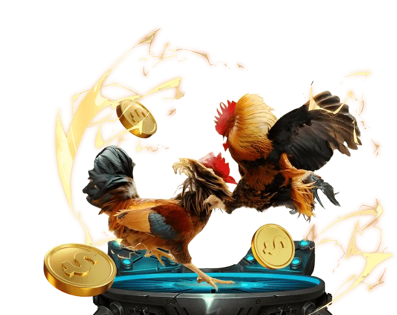 Vị thế thương hiệu 55vin